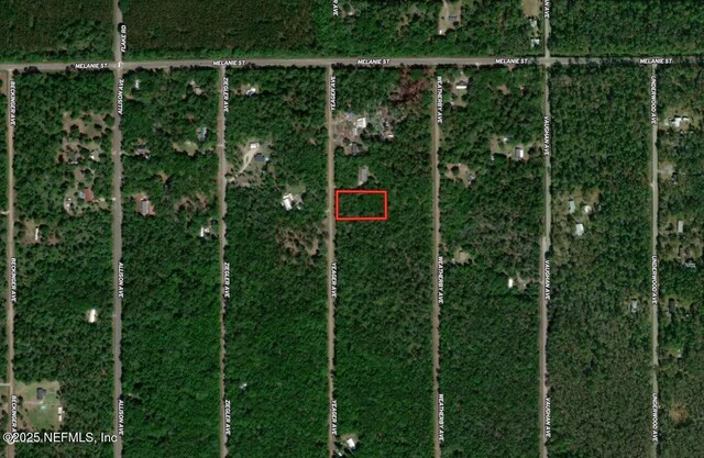10040 Yeager Ave, Hastings, FL 32145