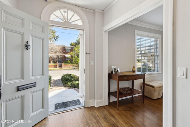 entrance foyer featuring a wealth of natural light, dark wood-type flooring, and ornamental molding