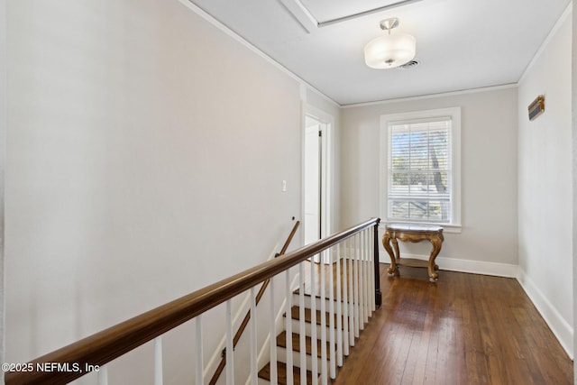 hall with ornamental molding and dark wood-type flooring