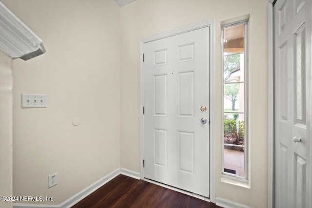 foyer entrance with dark hardwood / wood-style floors