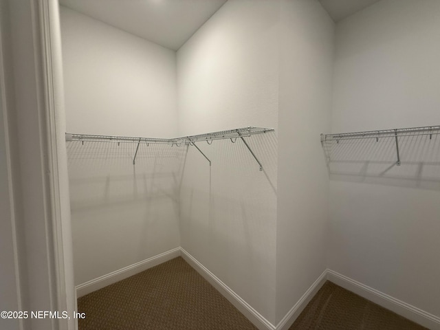 walk in closet with carpet