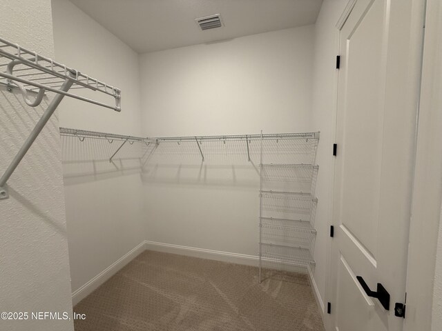 walk in closet with carpet