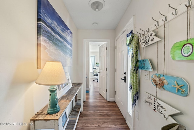 entryway with a healthy amount of sunlight and dark hardwood / wood-style flooring