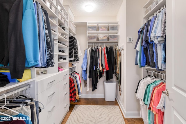 walk in closet featuring hardwood / wood-style flooring