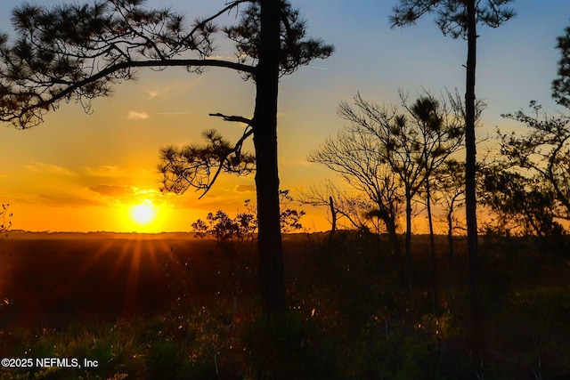 view of local wilderness