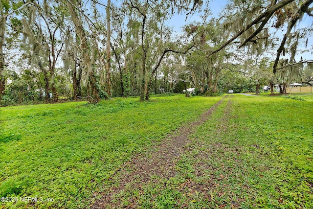 view of yard