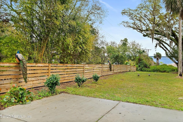 view of yard featuring a patio area and fence private yard