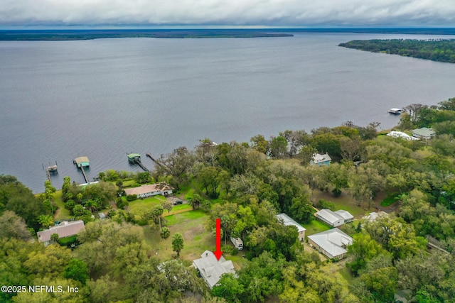 aerial view with a water view