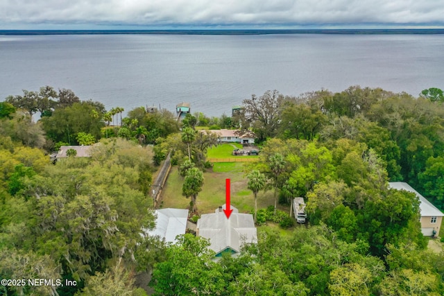 drone / aerial view featuring a water view