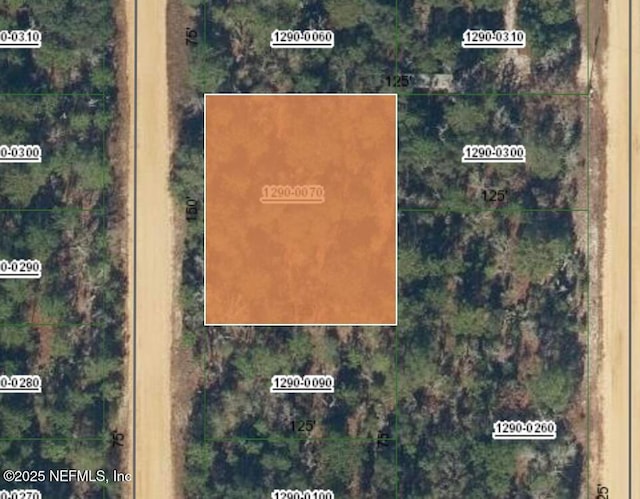 0 Shappell Ave, Interlachen FL, 32148 land for sale