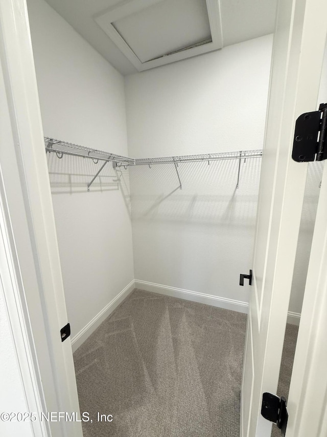 spacious closet with attic access and carpet