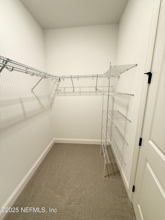 spacious closet with carpet