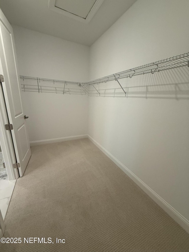 spacious closet featuring carpet floors and attic access