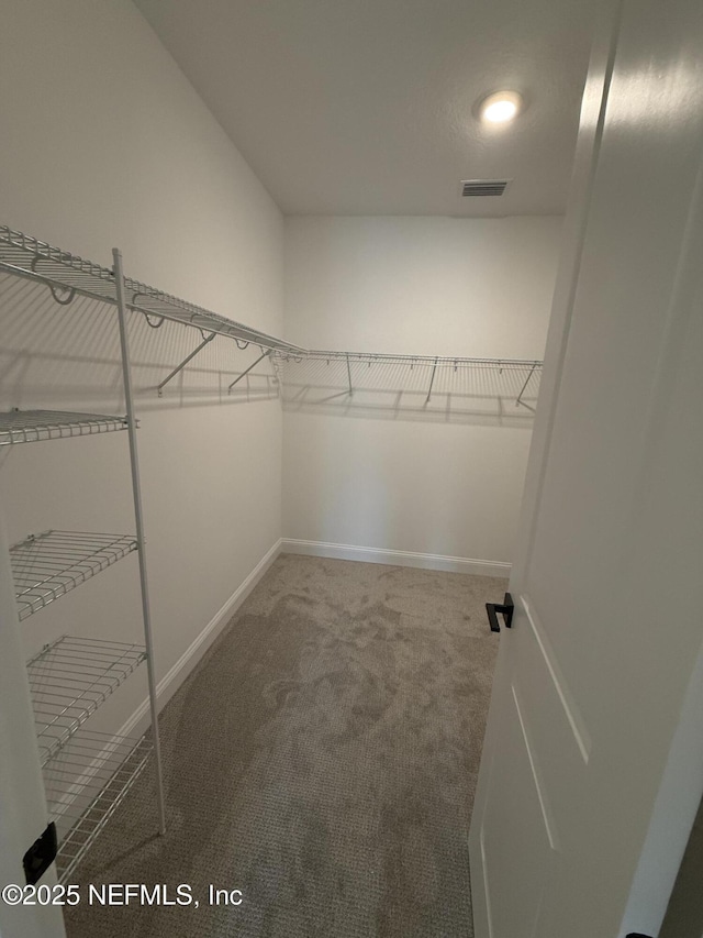 17 Mulberry Rd, Palm Coast, FL 32164 - photo 29