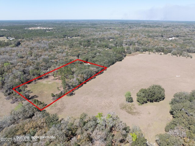 163 Boots Rd, Melrose, FL 32666 - photo 5