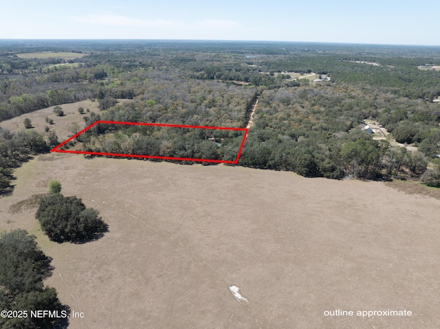 163 Boots Rd, Melrose, FL 32666 - photo 7