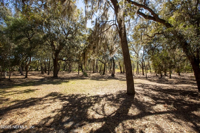 163 Boots Rd, Melrose, FL 32666 - photo 82