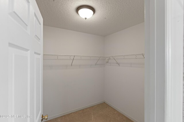 163 Boots Rd, Melrose, FL 32666 - photo 53