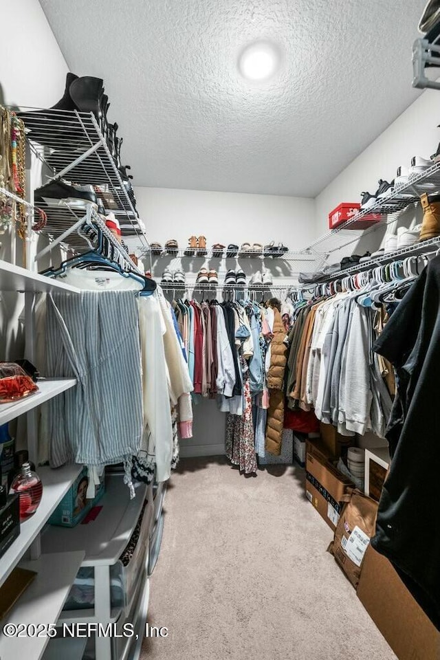 spacious closet with carpet flooring