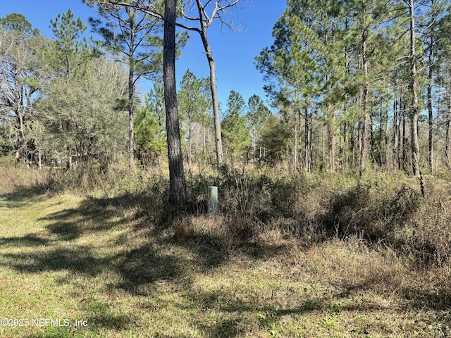 NE 135th Court, Raiford, FL 32083 - photo 3