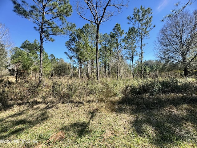 NE 135th Court, Raiford, FL 32083 - photo 1