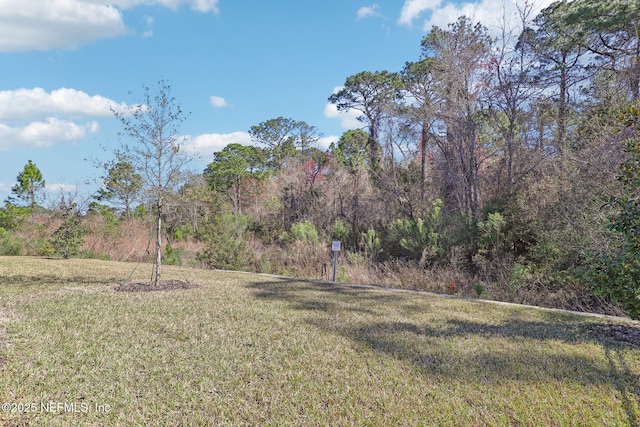 view of yard featuring a view of trees