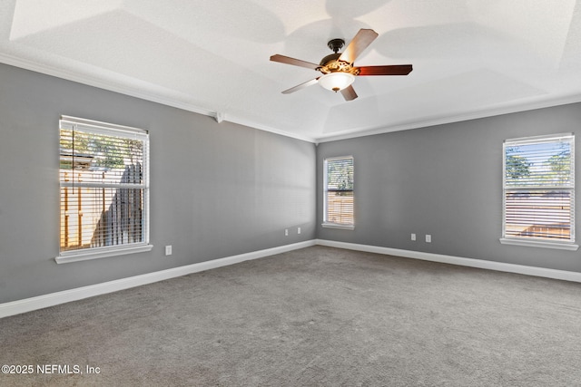 spare room featuring ceiling fan, ornamental molding, a raised ceiling, and carpet floors