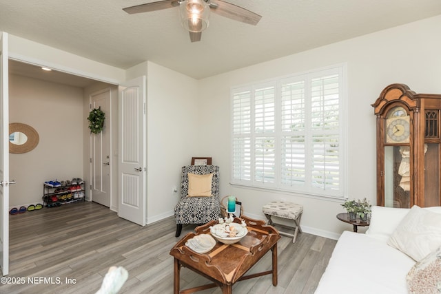 195 Glen Valley Dr, Ponte Vedra, FL 32081 - sitting room with light wood finished floors, a ceiling fan, and baseboards