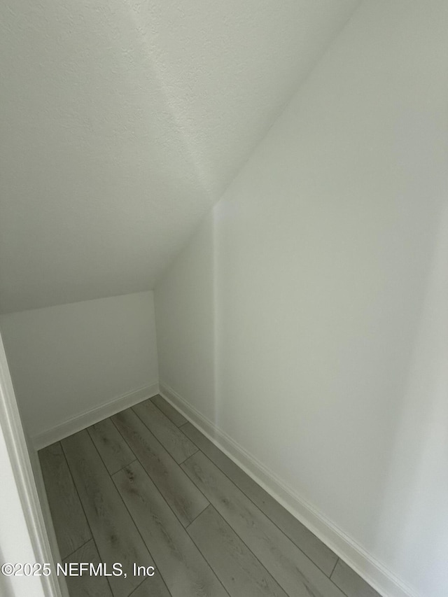 35 Mahogany Way, Palm Coast, FL 32164 - bonus room featuring lofted ceiling, a textured ceiling, and light hardwood / wood-style floors