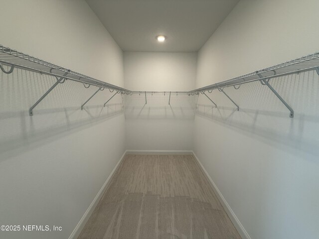 35 Mahogany Way, Palm Coast, FL 32164 - spacious closet featuring carpet floors