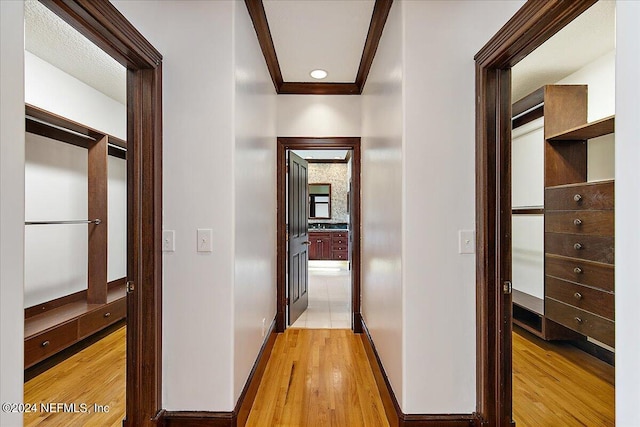 13612 Mcqueens Ct, Jacksonville, FL 32225 - hall featuring crown molding and light hardwood / wood-style flooring
