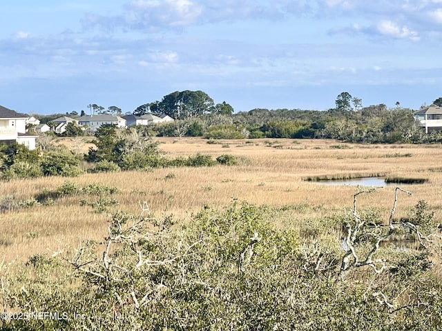 view of local wilderness