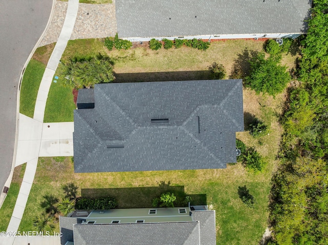 drone / aerial view
