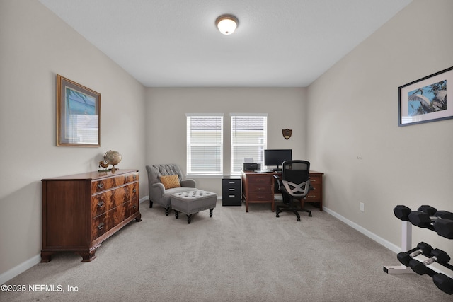 office space with baseboards and carpet floors