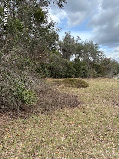 220 Oak Ridge Dr, Welaka FL, 32193 land for sale