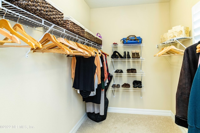 walk in closet with carpet