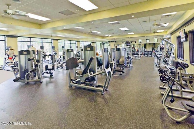 workout area with a paneled ceiling