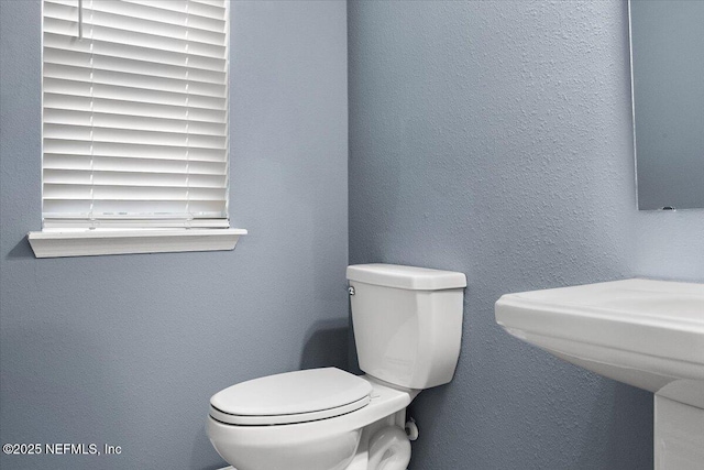 bathroom with toilet and a textured wall