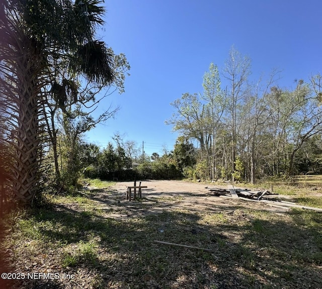 5210 Rita St, Jacksonville, FL 32209 - view of local wilderness
