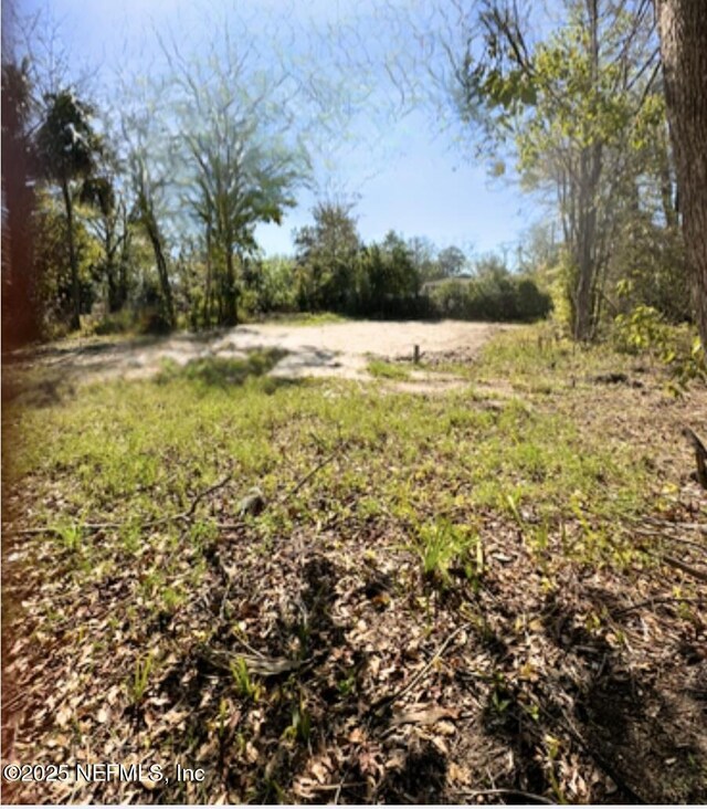 5210 Rita St, Jacksonville, FL 32209 - view of yard