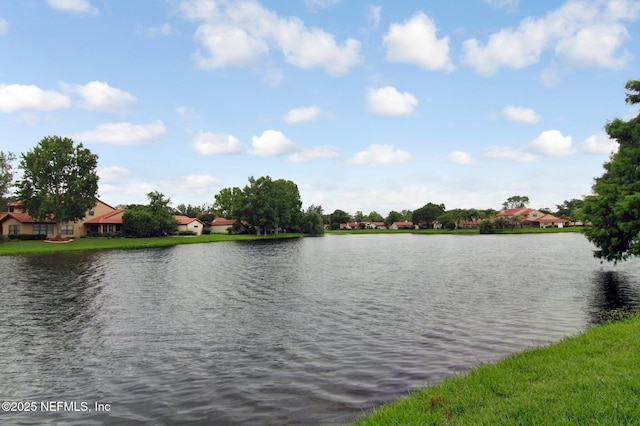 water view with a residential view