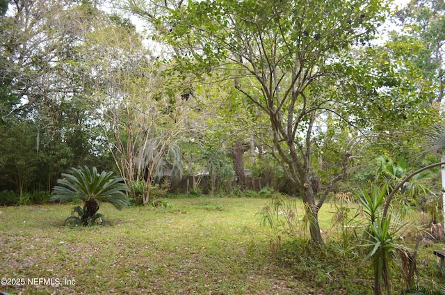8924 Lopez Ct, Jacksonville, FL 32216 - photo 36