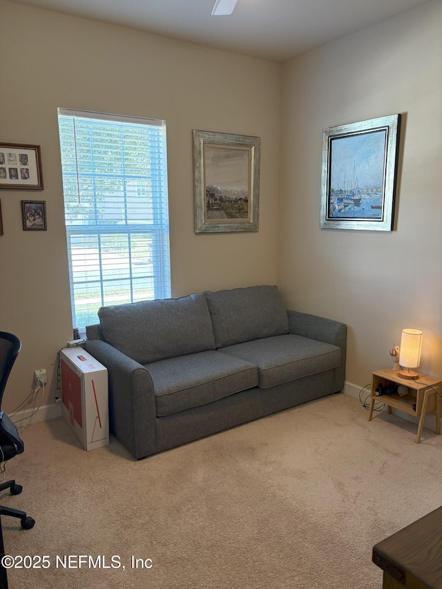 living room featuring light colored carpet