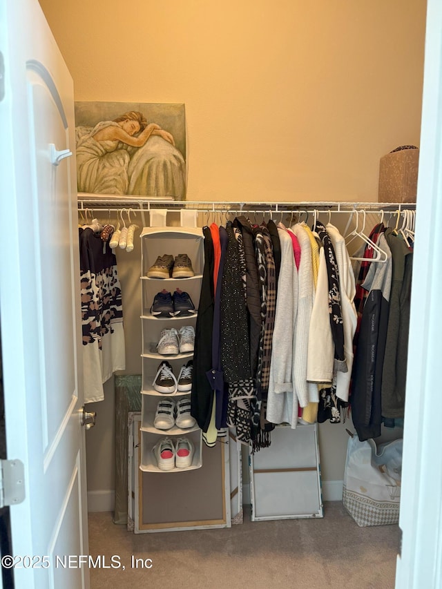 spacious closet with carpet