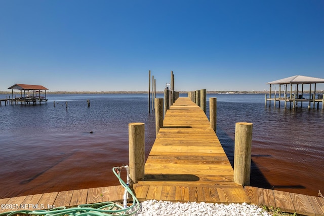 dock area with a water view