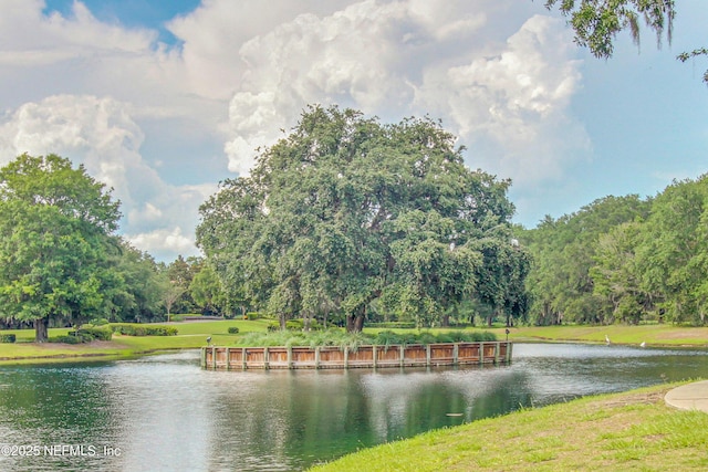 1465 Shadow Creek Dr, Orange Park, FL 32065 - water view