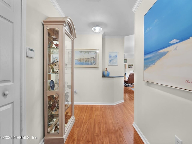 4306 Serena Cir, Saint Augustine, FL 32084 - hall featuring ornamental molding, baseboards, and wood finished floors