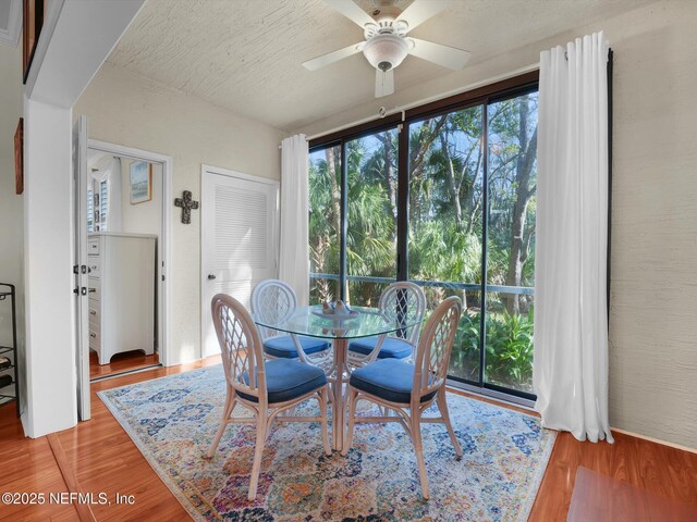 4306 Serena Cir, Saint Augustine, FL 32084 - dining space with light wood-style flooring, a ceiling fan, and a healthy amount of sunlight