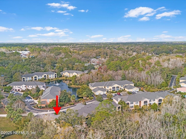 4306 Serena Cir, Saint Augustine, FL 32084 - drone / aerial view featuring a wooded view, a residential view, and a water view