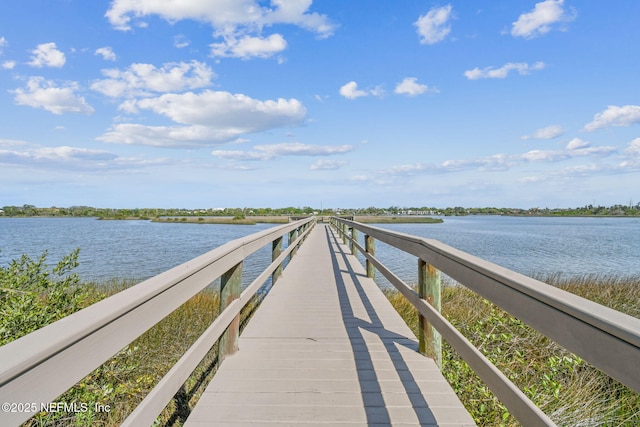 4306 Serena Cir, Saint Augustine, FL 32084 - dock area with a water view